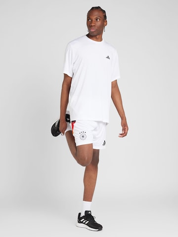 ADIDAS PERFORMANCE - Regular Calças de desporto 'DFB 24' em branco