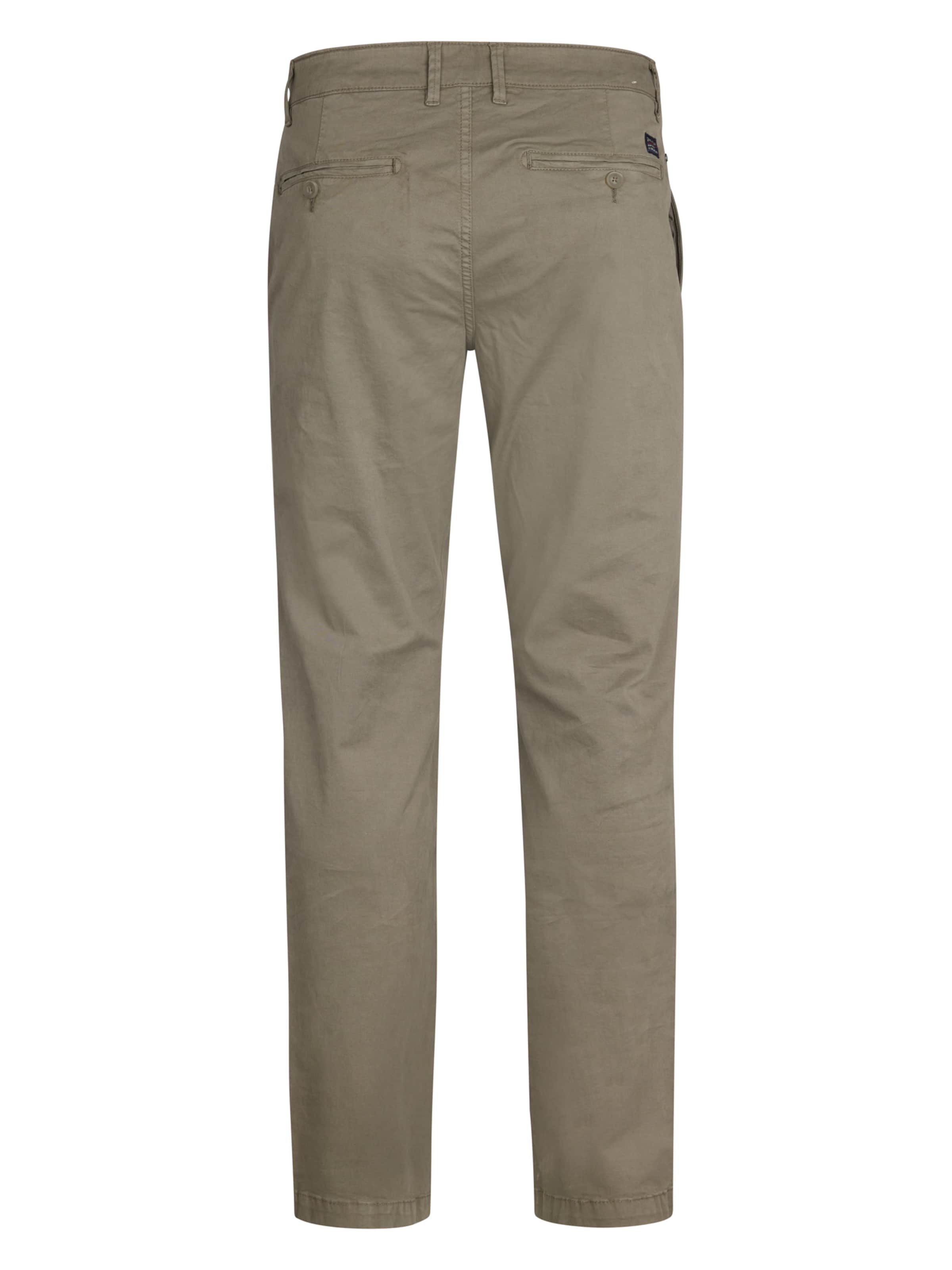 Petrol Industries Regular Pants in Brown