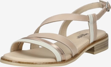 Nero Giardini Riemensandale in Beige: Vorderseite