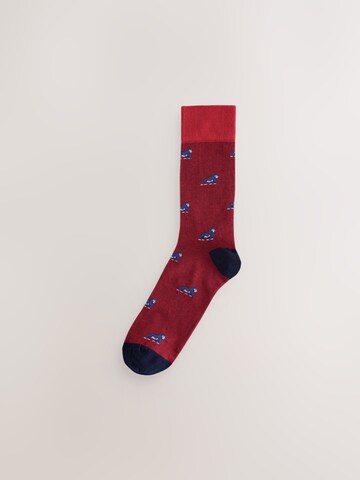 Next Socks in Blue