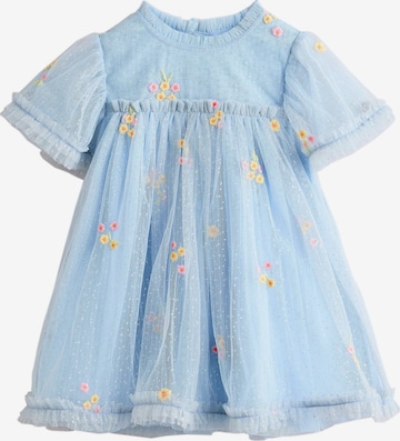 mėlyna Next Suknelė: priekis