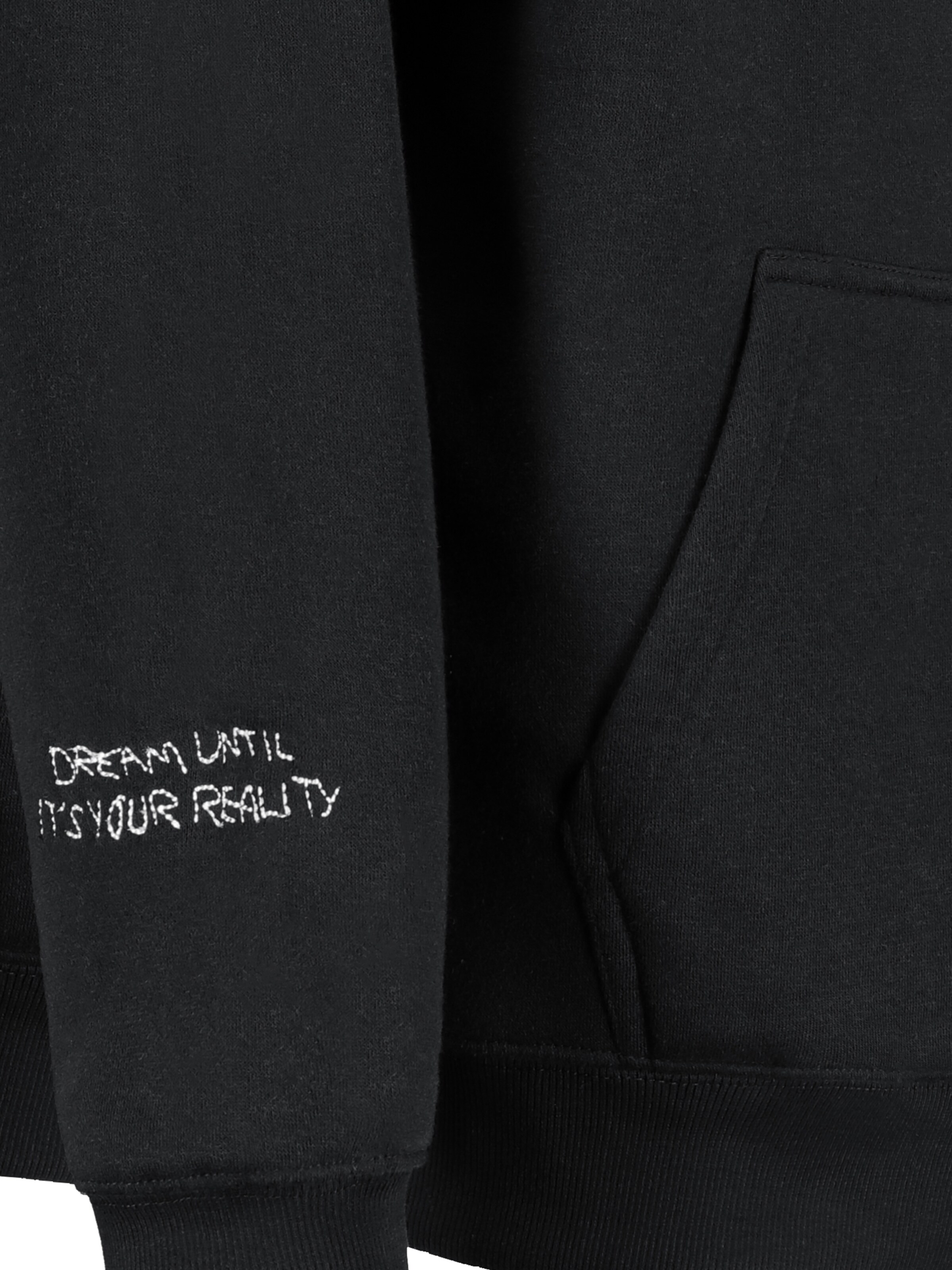 Sublevel Sweatshirt in Grau