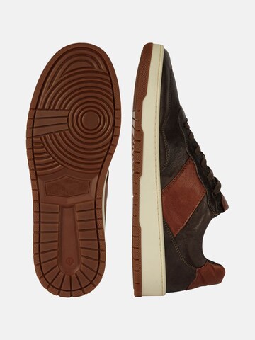 Baskets basses Boggi Milano en marron