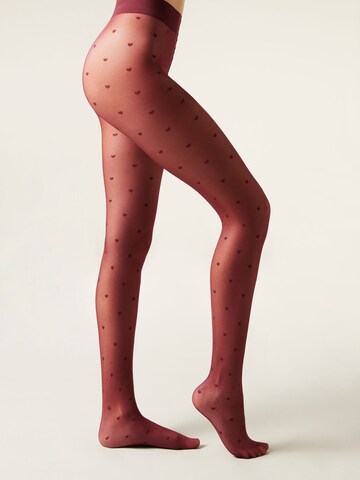 CALZEDONIA Strumpfhose in Pink