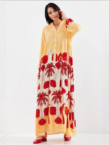 Robe 'Maxi' Bigdart en mélange de couleurs