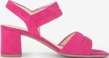 Sandales GABOR en rose