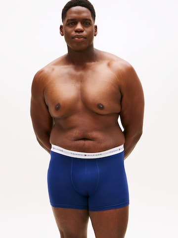 Tommy Hilfiger Underwear Plus - Boxers em azul: frente