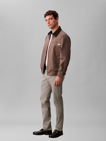 Calvin Klein Regular Chino Pants in Green