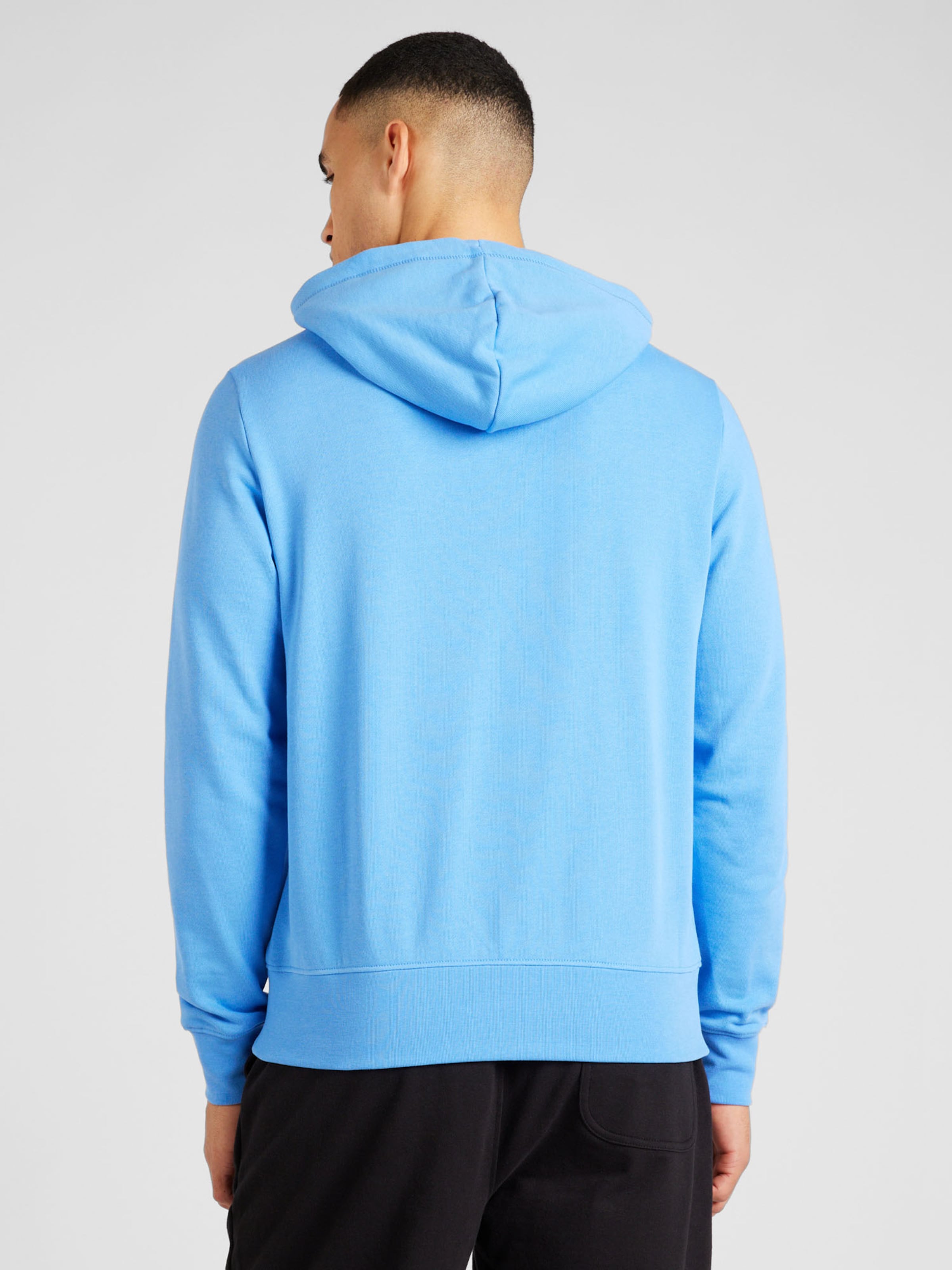 Tommy hilfiger discount hoodie light blue