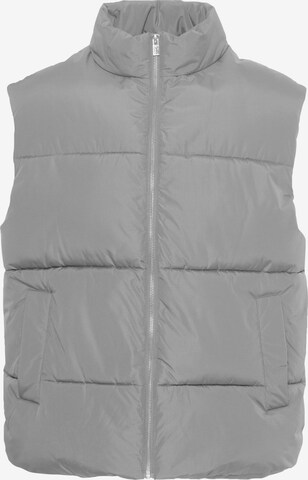 Gilet !Solid en gris : devant