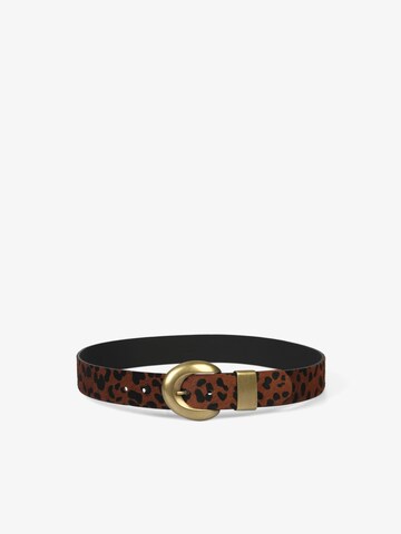 Ceinture Scalpers en marron