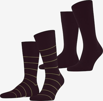 ESPRIT Socken 'Modern Stripe 2-Pack' in Rot: Vorderseite