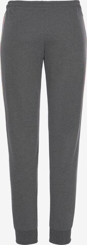 BUFFALO - Tapered Pantalón en gris