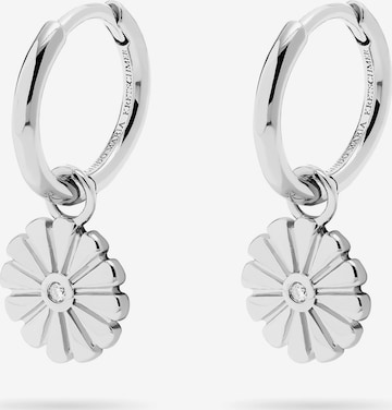 Guido Maria Kretschmer Jewellery Earrings in Silver: front