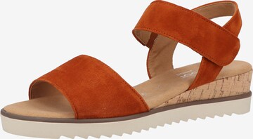 GABOR Strap Sandals in Brown: front