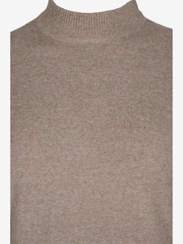 Zizzi Knitted dress 'Casunny' in Brown