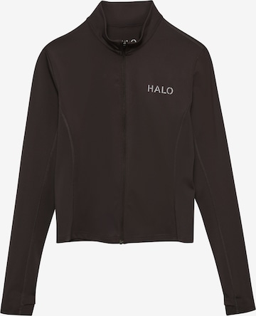 HALO Training jacket in Brown: front