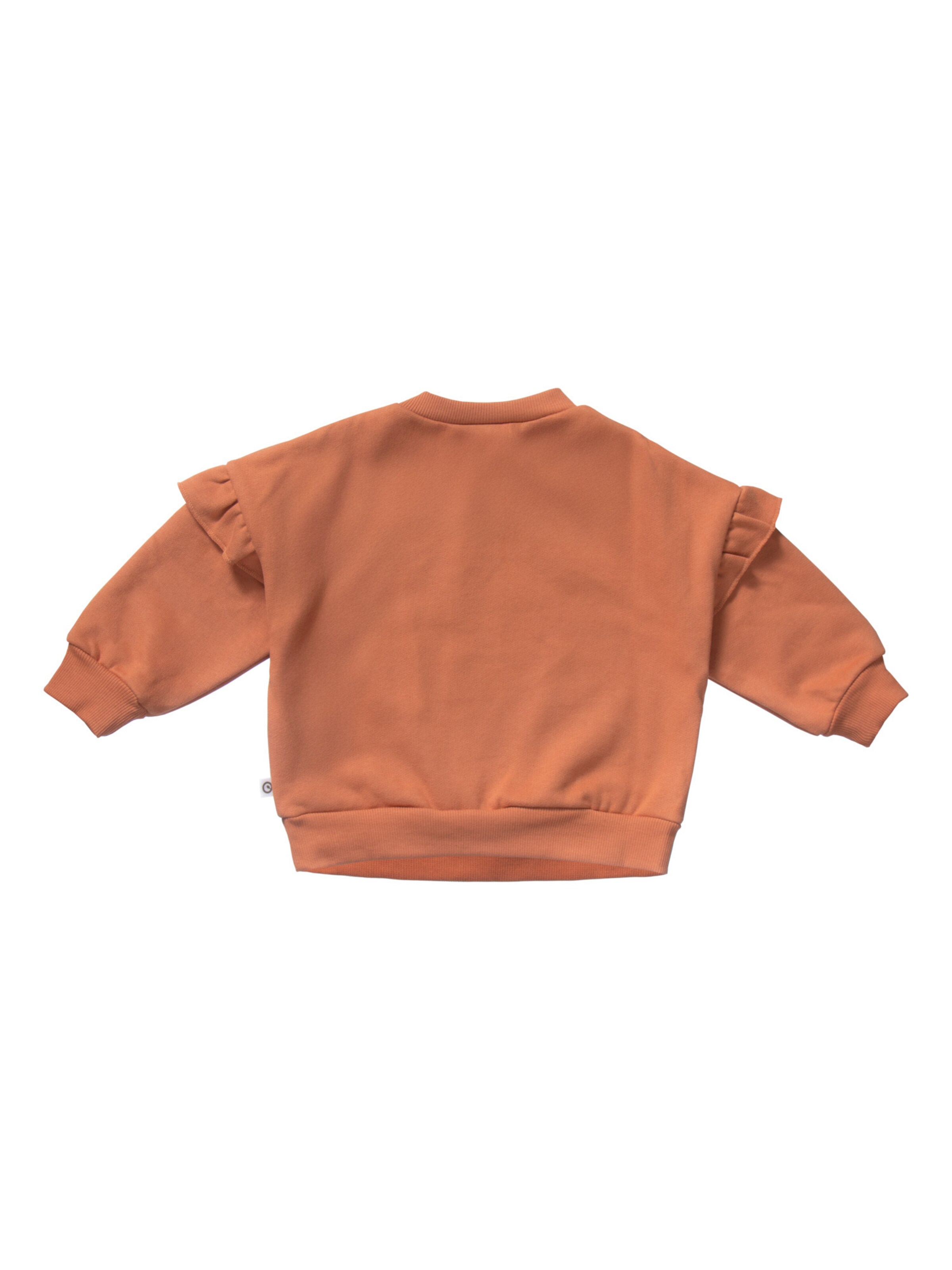 Pullover di Müsli by GREEN COTTON in arancione