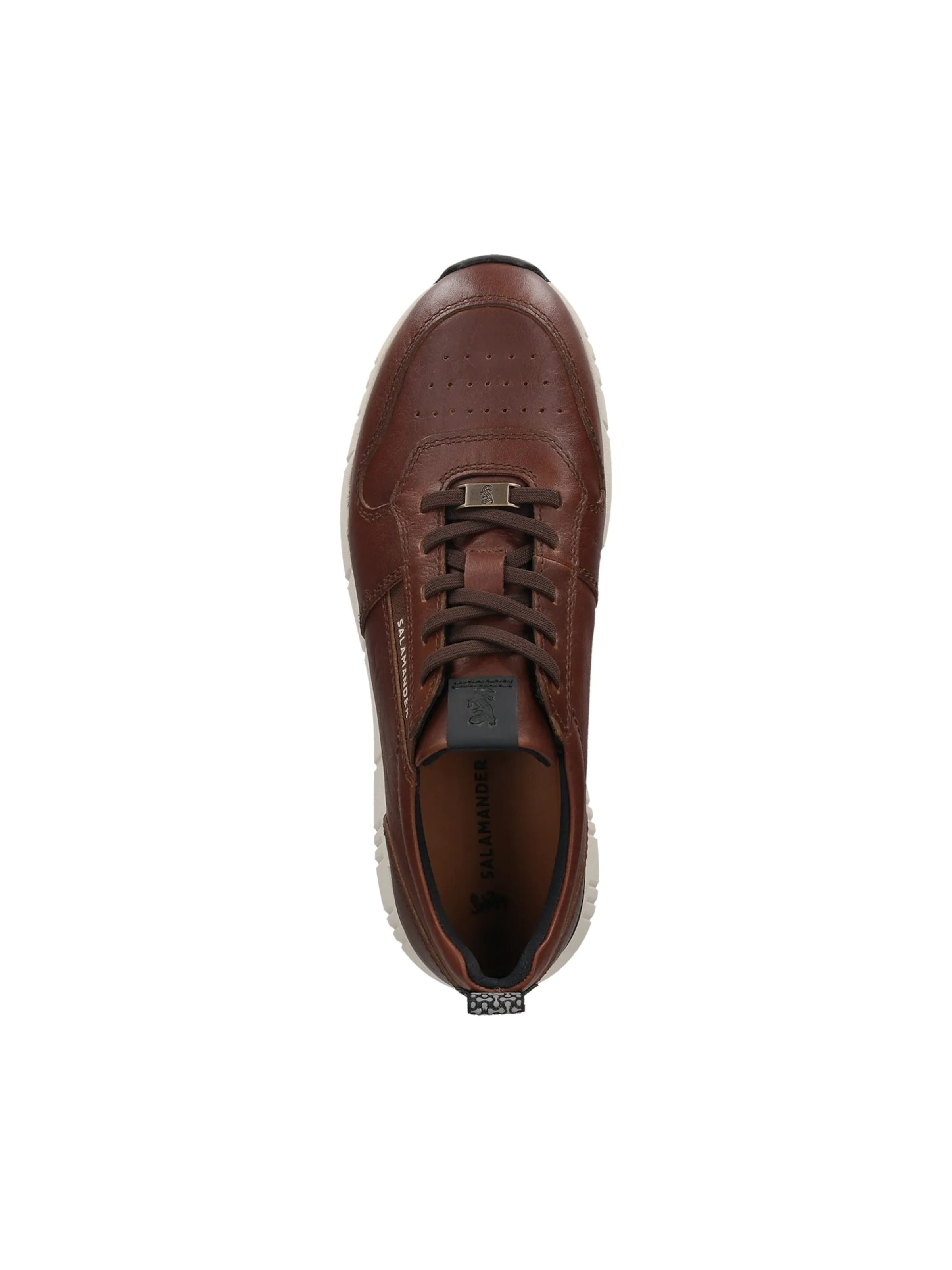 SALAMANDER Sneaker low i brun