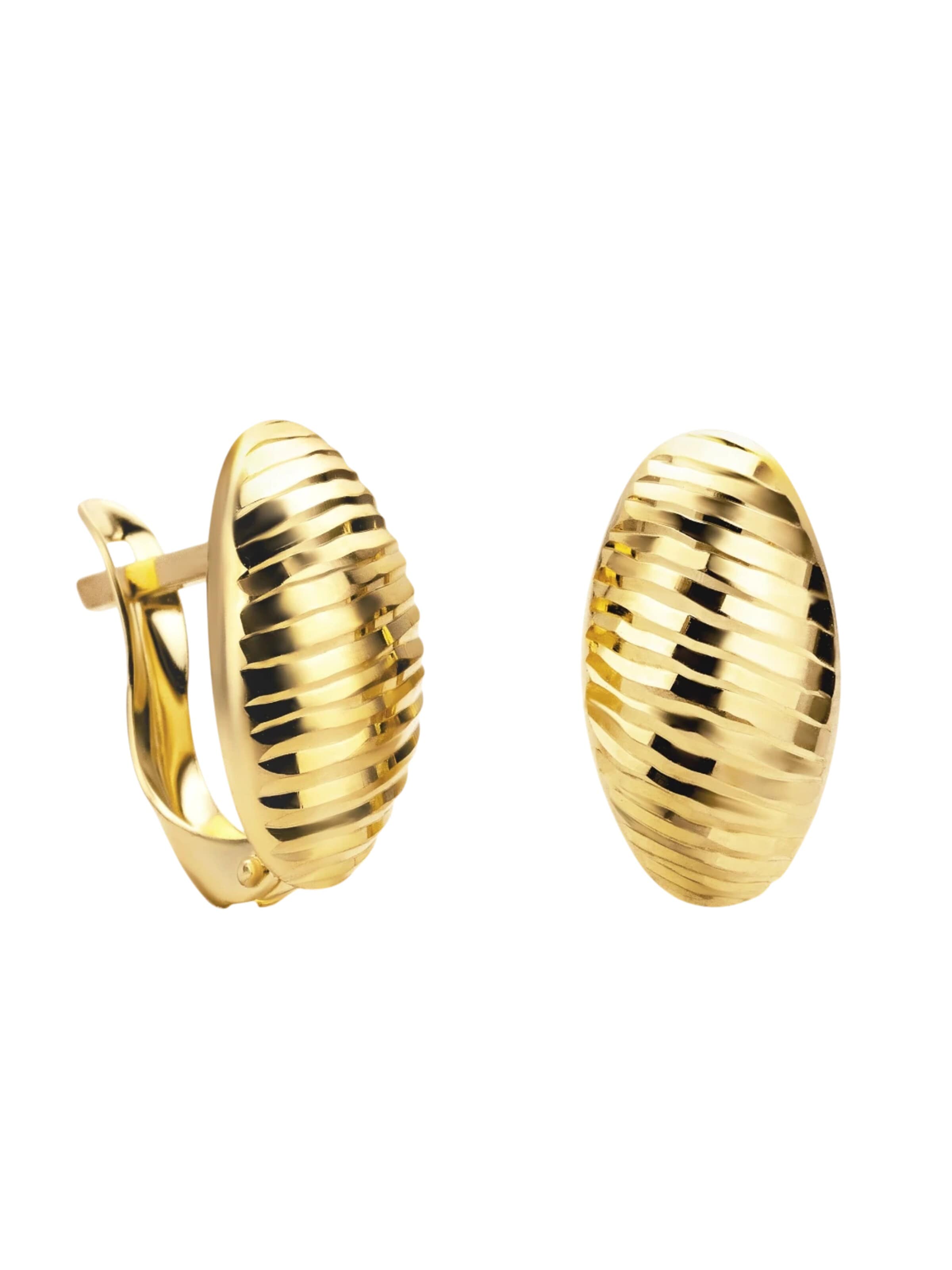 DIAMANT LETERNEL Ohrringe 'Ohrringe aus 585 Gelbgold'‌‌‌ in Gold: Vorderseite