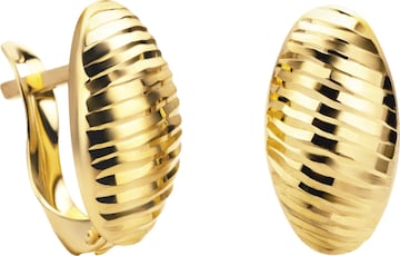 Boucles d'oreilles 'Ohrringe aus 585 Gelbgold' DIAMANT LETERNEL en or : devant