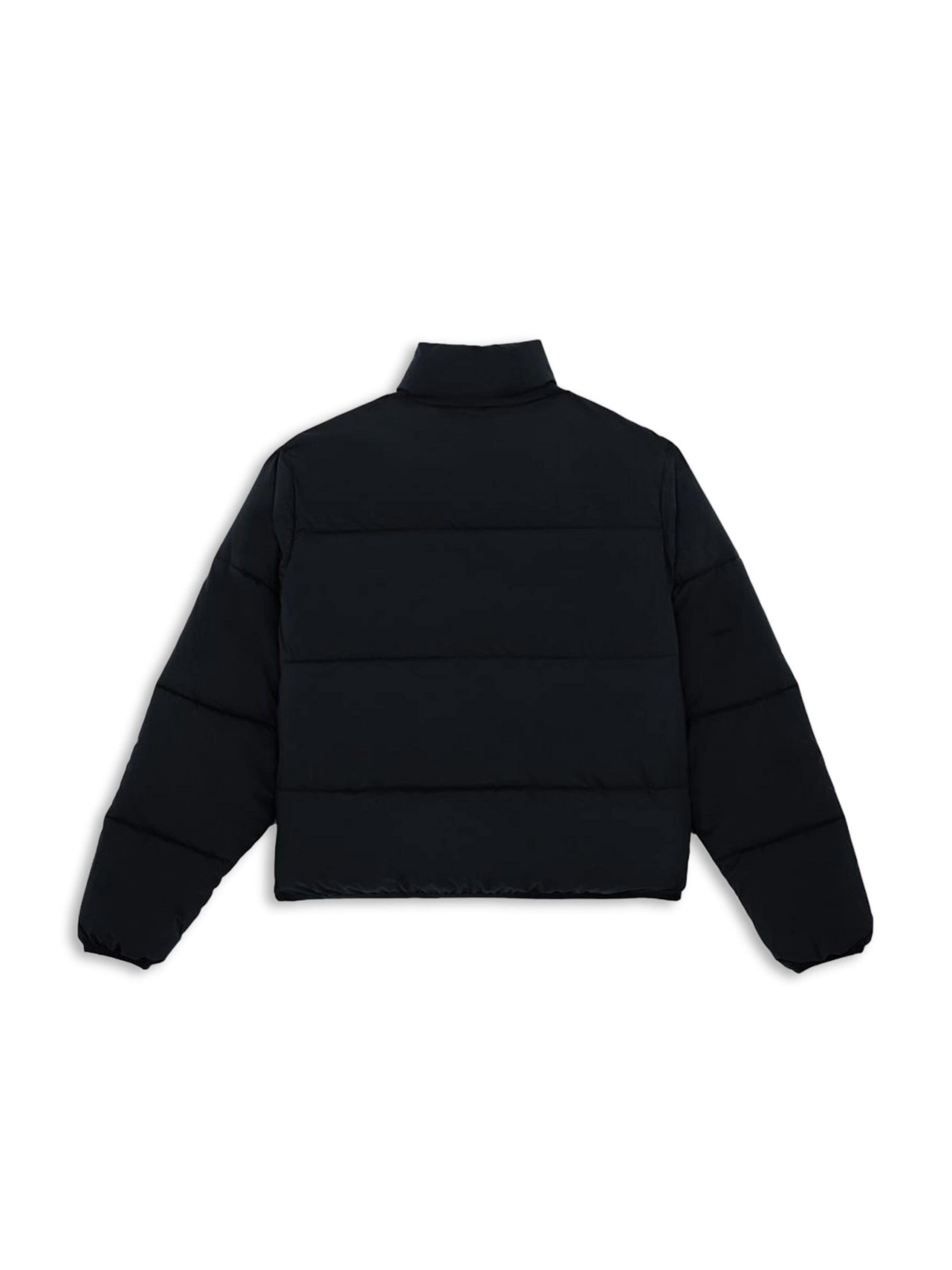 DICKIES Winterjas 'SAMMERDALE' in Zwart