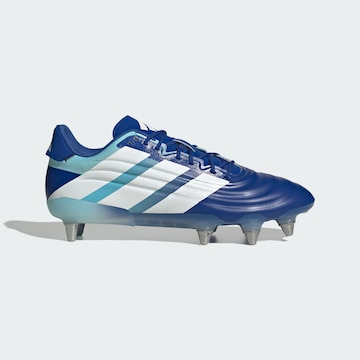 ADIDAS PERFORMANCE Kopačky 'Kakari RS' – modrá