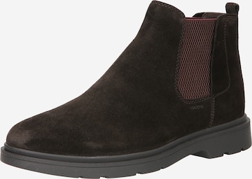 GEOX Chelsea Boots 'Spherica' in Braun: predná strana