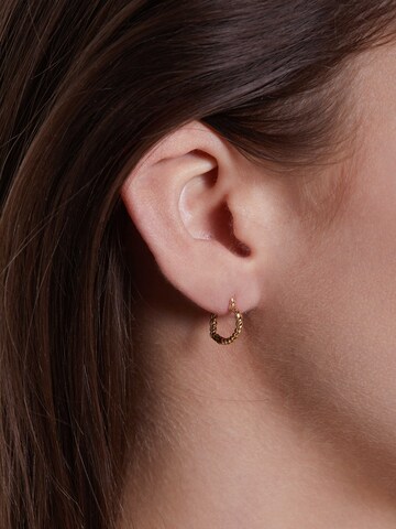 Lucardi Earrings 'Minimalistisch' in Gold: front