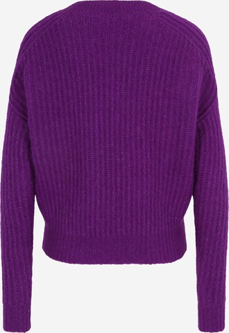 Lauren Ralph Lauren Petite Pullover 'STANIMIR' in Lila