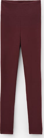 CALZEDONIA Leggings in Rot: Vorderseite