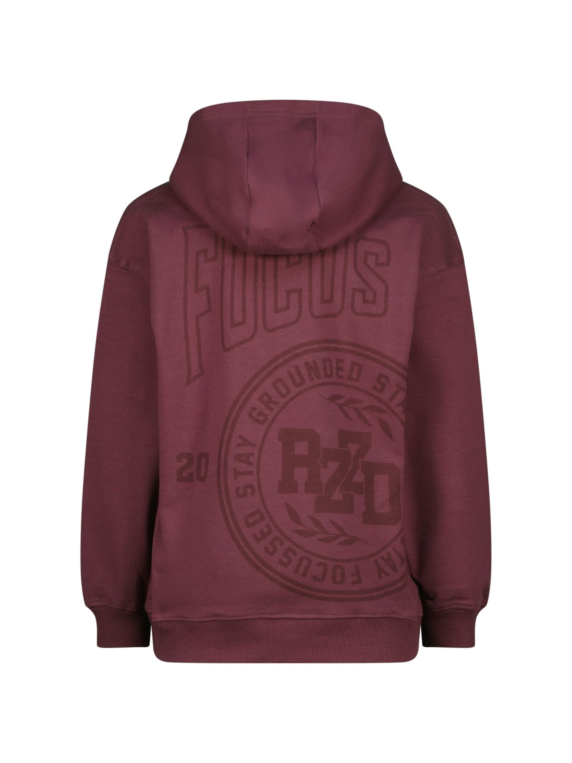 Raizzed Sweatshirt in Lila
