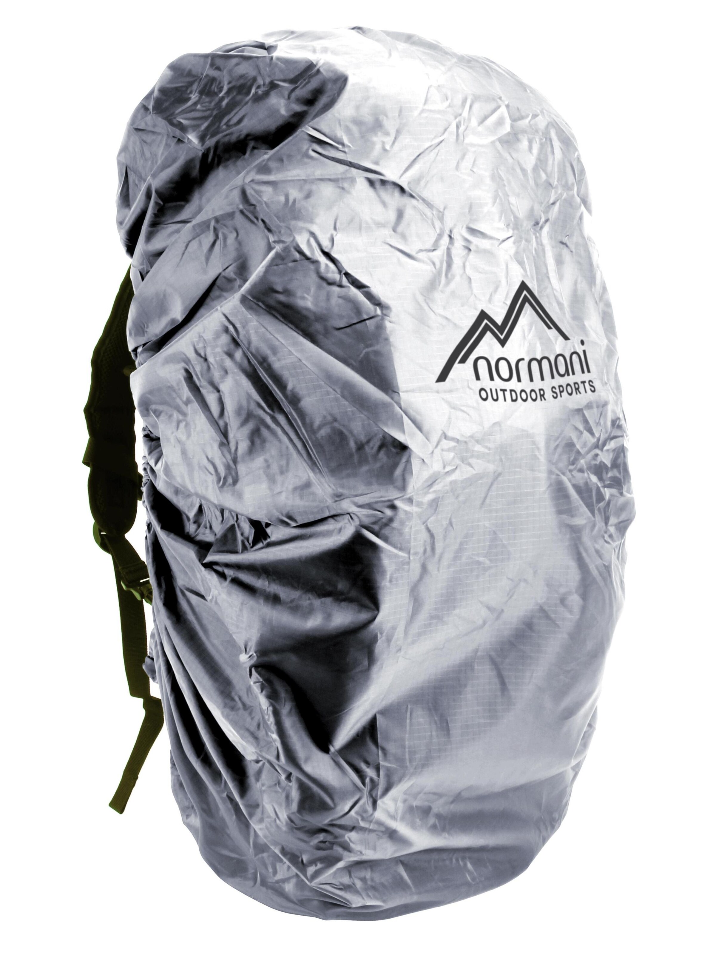 Sac à dos ' Tapetum Lucidum ' normani en argent