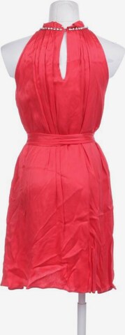 MAX&Co. Kleid XS in Rot