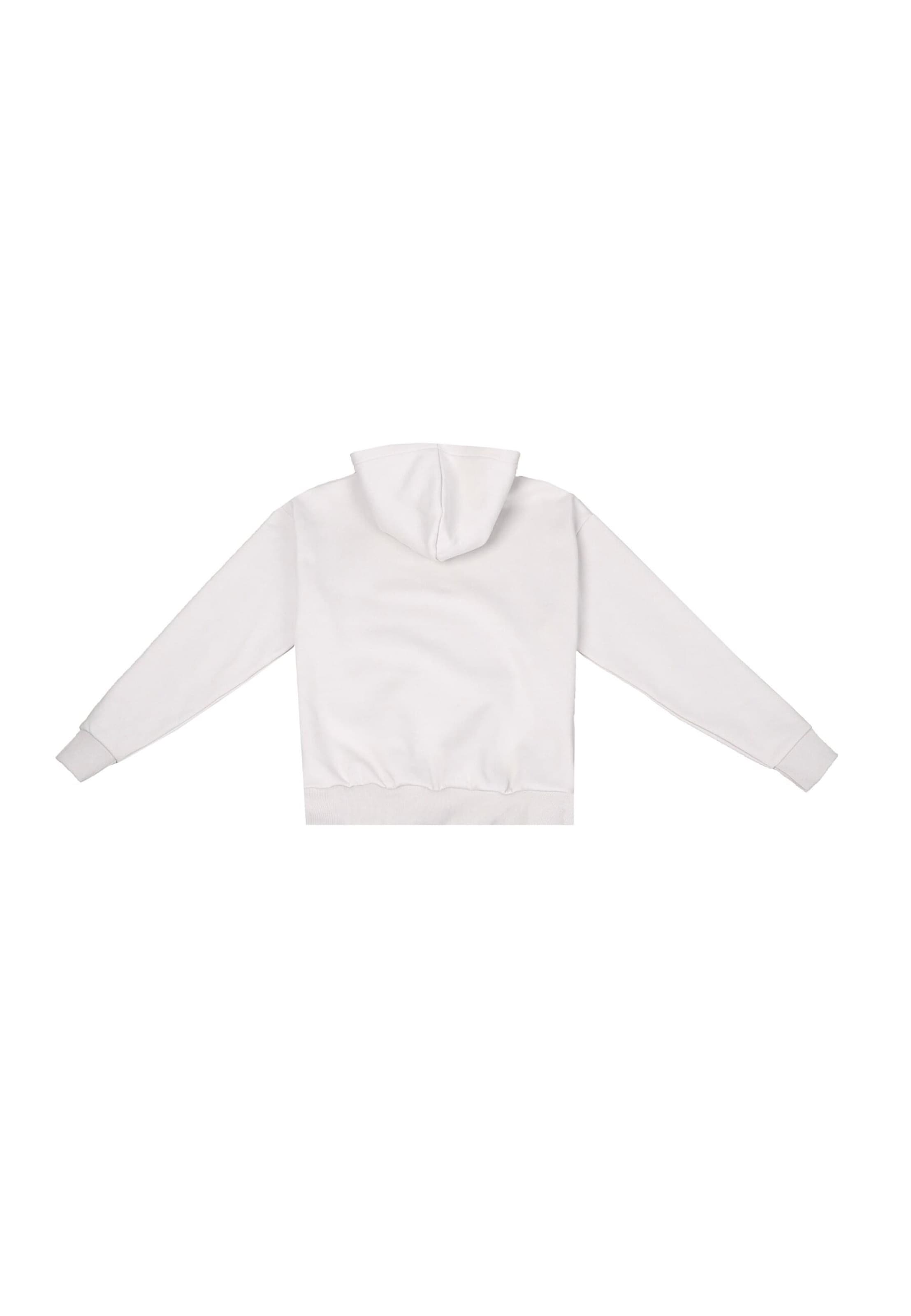 Dropsize Mikina – šedá