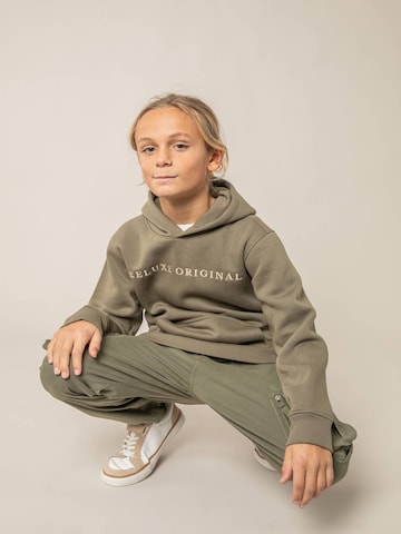 Sweat ' BEN ' Deeluxe en vert : devant