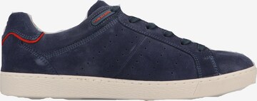 Pius Gabor Sneaker in Blau