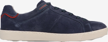 Pius Gabor Sneakers laag in Blauw