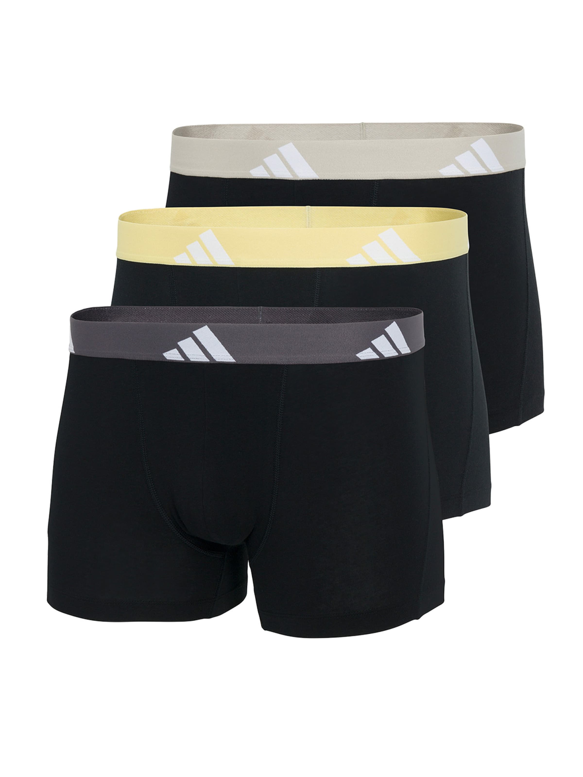 ADIDAS ORIGINALS Boxershorts 'Active Flex' in Schwarz: Vorderseite