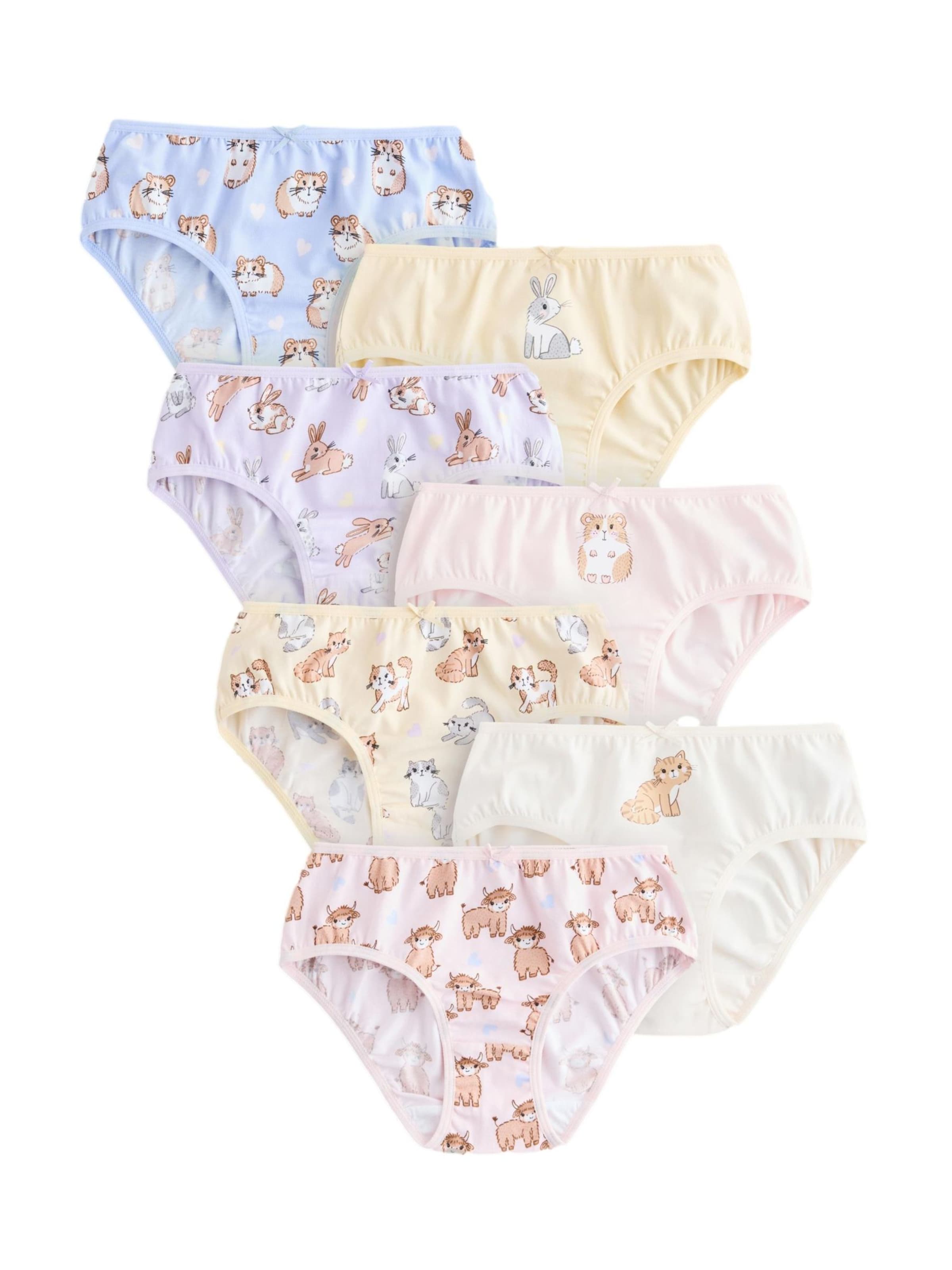 mėlyna Next Apatinės kelnaitės: priekis