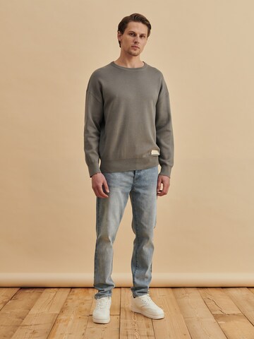 Pull-over 'Sascha' DAN FOX APPAREL en gris