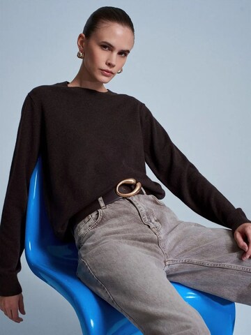 Pull-over 'Pullover' Dilvin en marron