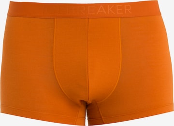 ICEBREAKER - Calzoncillo deportivo 'Anatomica' en naranja: frente