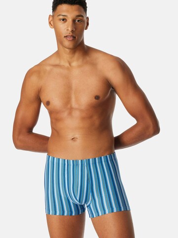 SCHIESSER Boxer shorts ' 95/5 ' in Black: front