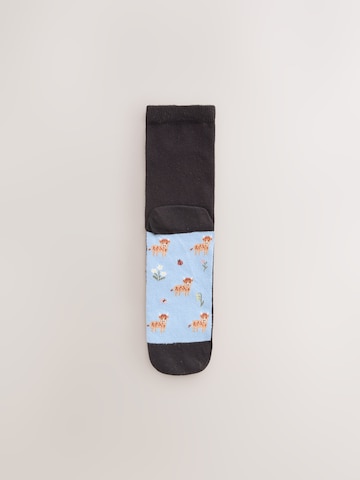 Next Sockor i svart