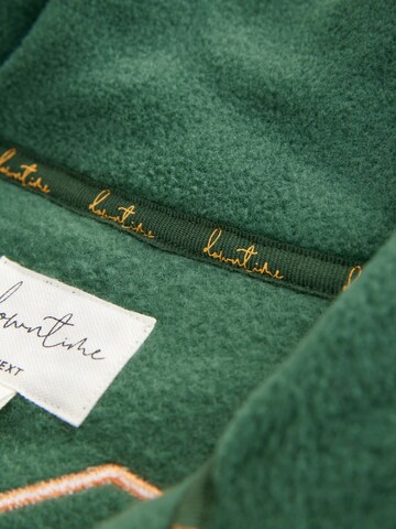 Next Sweatshirt i grøn