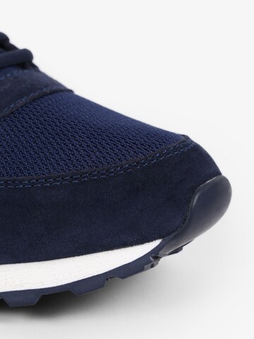 Scalpers Sneakers laag 'Skull' in Blauw