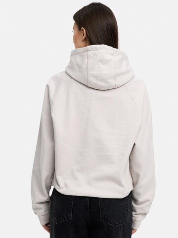 Daily Cotton Sweatshirt 'DCBAEZA' in Grey