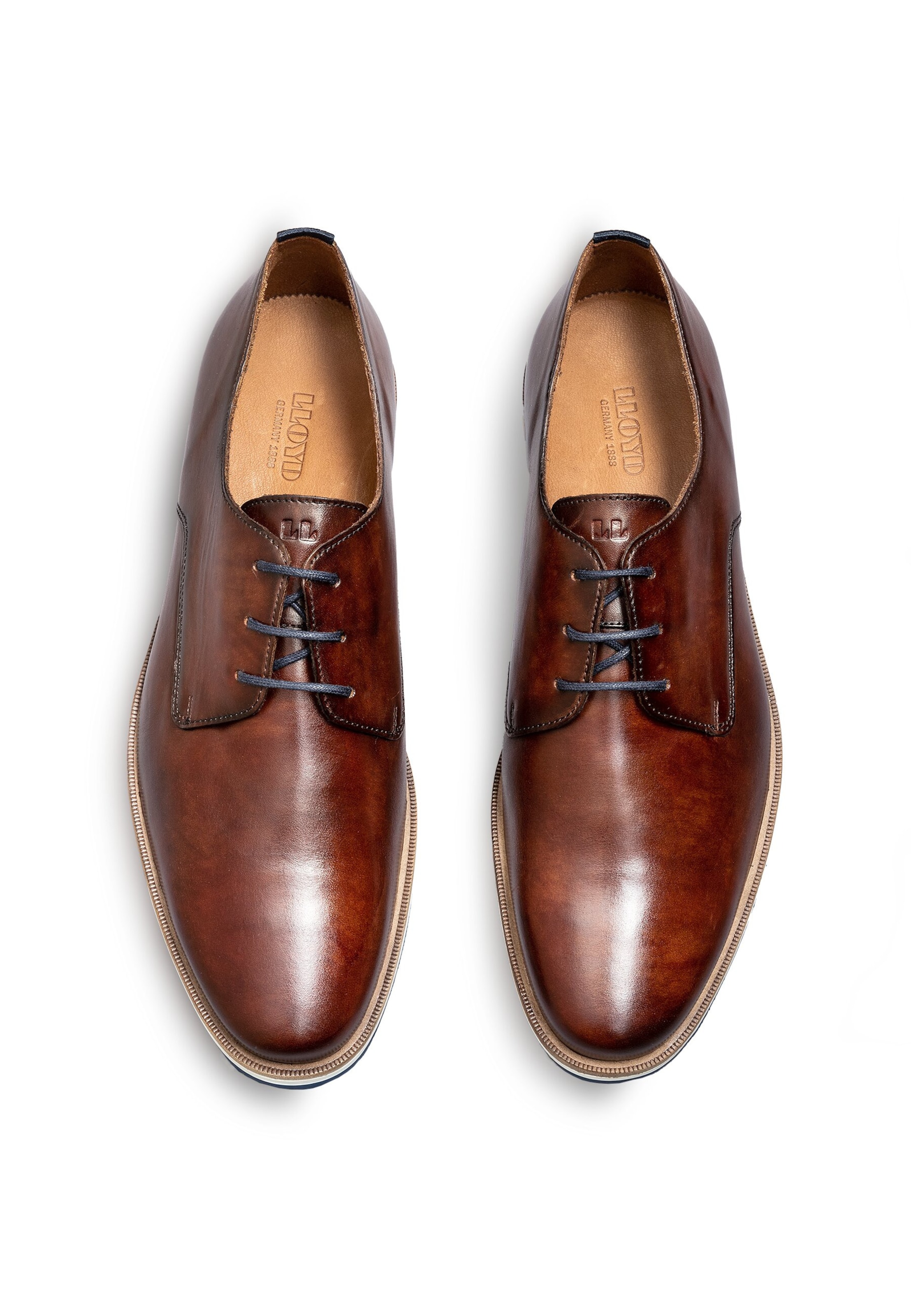 LLOYD Обувки с връзки 'Dakin' в кафяво