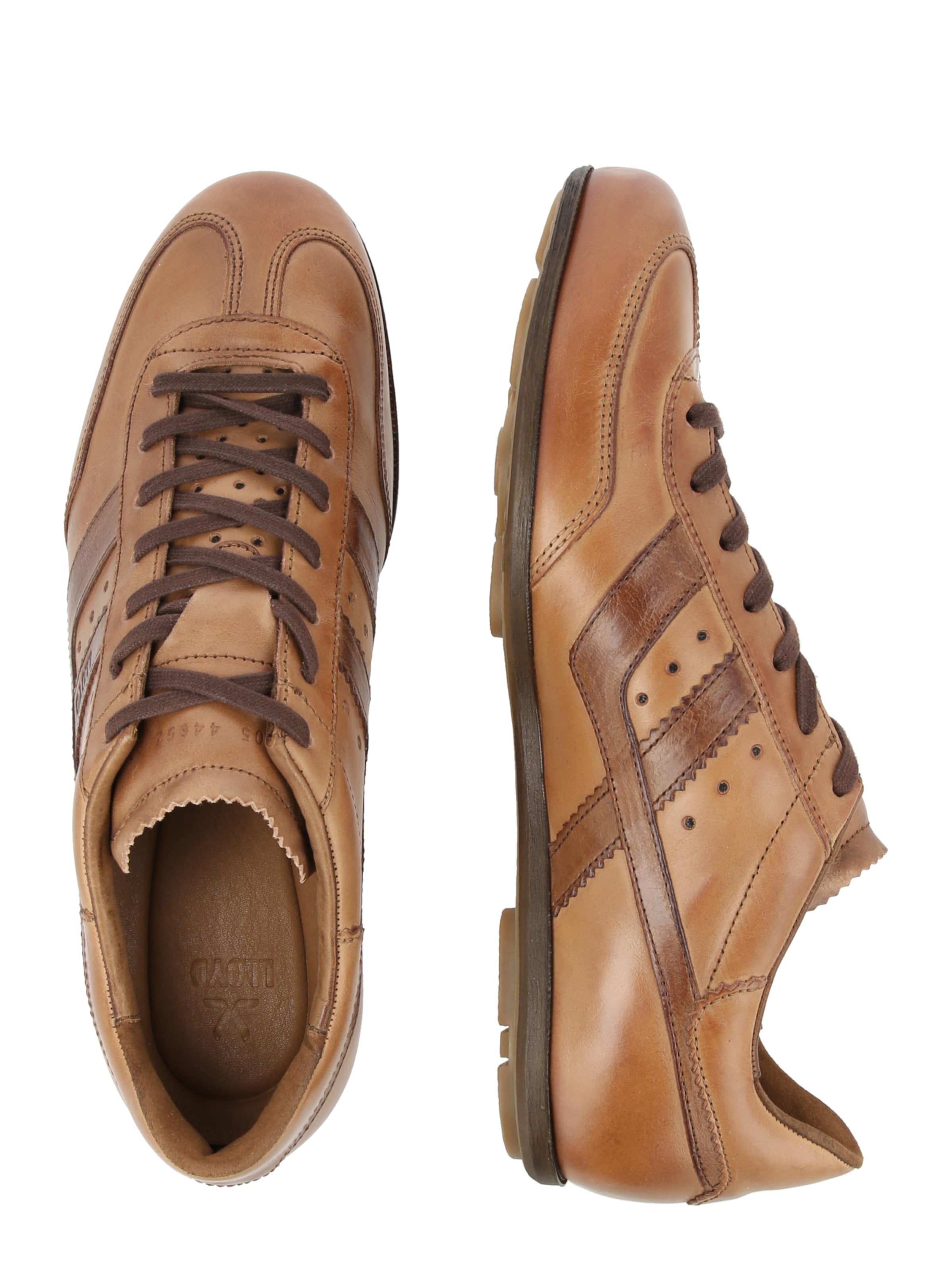 LLOYD Sneakers laag 'VAULT' in Bruin